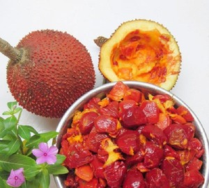 Pulpa de Gac Congelada Premium de Vietnam, Fresca, Natural, Alto Valor Nutricional para Exportación, Fruta de Momordica Congelada - Product Image 1