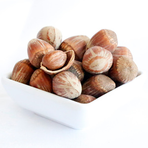 Nuevas nueces de avellana peladas y trituradas, tostadas instantáneamente, originales, enlatadas, con garantía de calidad, a la venta. - Product Image 5