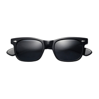 Lunettes de soleil classiques vintage avec monture en acétate transparent et verres TAC pour hommes et femmes