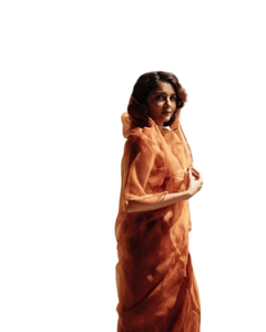 Saree en soie séquencée avec dentelle en organza Vêtements élégants pour fêtes indiennes et pakistanaises pour adultes - Product Image 1