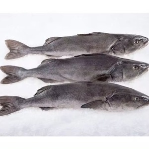 Filetes de Pescado de Calidad, Bacalao Fresco Congelado a Granel - Product Image 2