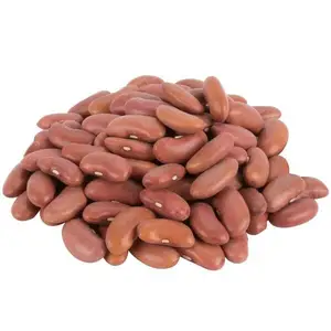 Top grade purple speckled kidney bean purple kidney beans 2024