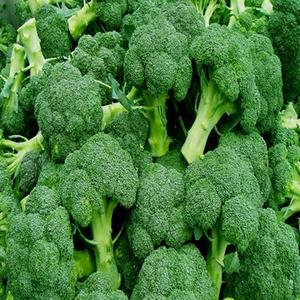 Brócoli fresco orgánico de tamaño familiar disponible a precio mayorista para exportación - Product Image 5