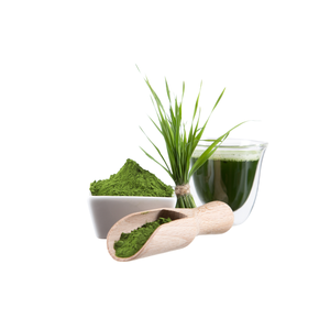 ผงคลอเรลล่าออร์แกนิกพรีเมี่ยม - Product Image 2