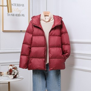 Veste matelassée élégante et légère à col montant, finition satinée brillante, manteau d'hiver chaud, mode haut de gamme, brillant - Product Image 3