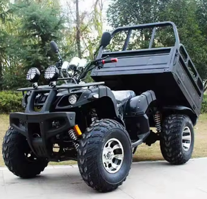 Vehículo Utilitario Todoterreno (UTV) de 250cc, Legal para Circular en la Calle, Quad, Bicicleta, Vehículo Agrícola ( WHATS.APP: /+1 504 206 7821 ) - Product Image 1