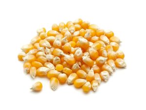 Harina de maíz seco de alta proteína para consumo humano Maíz seco agrietado al por mayor de Canadá Distribuidor de maíz seco - Product Image 4