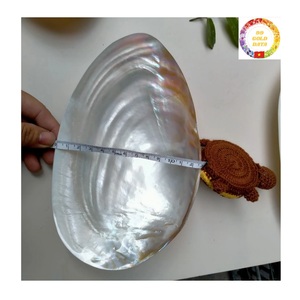 Plato único hecho a mano de nácar, plato de concha de OSTRA pulida, cocina casera de lujo y comedor fino - Product Image 2