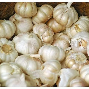 AJO CONGELADO DE ORIGEN DE VIETNAM DE ALTA CALIDAD PARA LA EXPORTACIÓN CON LARGA VIDA ÚTIL Y SABOR NATURAL - Product Image 5