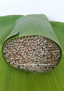 Pajitas desechables biodegradables de hierba Natural, precio de alta calidad, de Eco2go, Vietnam - Product Image 6