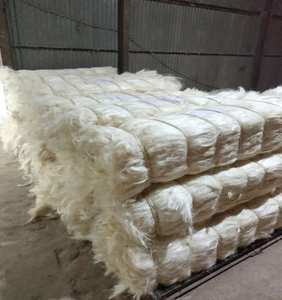 Bon marché, fibre de sisal de qualité, chanvre naturel, fibre de sisal de qualité UG, vente au Kenya - Product Image 5