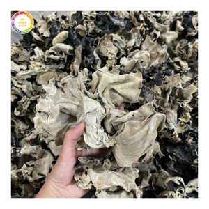 Champignon noir séché de qualité supérieure Fournisseur en gros d'exportation d'usine du Vietnam pour les soupes de cuisine asiatique Sauté Industrie alimentaire mondiale - Product Image 1