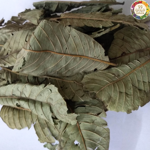 Feuilles de goyave séchées du Vietnam, matière première naturelle, idéales pour les industries de la fabrication de thé et le développement de saveurs culinaires légères. - Product Image 1