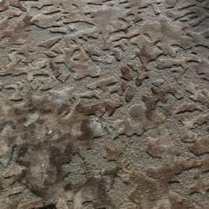 พรมขนสัตว์ชั้นดีทำมือ100% พรมปูพื้นแบบห่วงตัดลายดอกไม้สำหรับห้องนั่งเล่น/เด็กสไตล์โมเดิร์นเครื่องทำขึ้นสำหรับพรมห้องโถง - Product Image 5