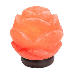 Lampe en fleur de sel biologique ODM haut de gamme, écologique, artisanale, sculptée, moderne, taille personnalisée, lumière en pierre pour la décoration de la maison et du bien-être - Product Image 1