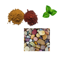 Pigment d'oxyde de fer 180 pour l'utilisation de l'asphalte du fabricant chinois