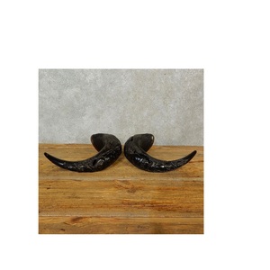 Par de cuernos de búfalo soporte de base de madera cuerno pulido decorativo de búfalo para pieza de decoración montada en la pared al mejor precio - Product Image 6