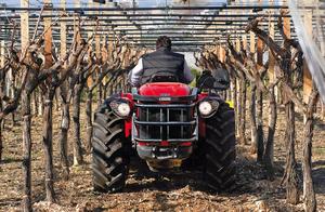 Tractor Antonio Carraro 4WD ROPS de 89 CV: TRX 9900 - ¡Versátil y Reversible! - Product Image 2