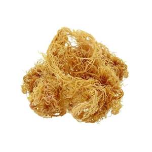 มอสทะเลแห้งธรรมชาติ-เหมาะสำหรับสมูทตี้บำรุงผิวและสุขภาพแบบองค์รวม! - Product Image 5