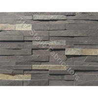 Panneau mural en pierre de quartzite noir TSF, surface fendue, résistant aux acides, utilisation extérieure, design moderne, écologique, durable