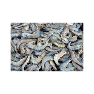 อาหารทะเลกุ้งสดแช่แข็งจาก Vannamei - Product Image 4