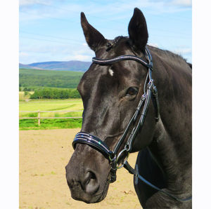 Multi-Brida de cuero genuino de moda de tamaño XL Extra completo para caballos Accesorio de caballo de color negro - Product Image 4