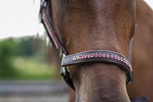 Diseño personalizado ecuestre occidental Inglés cuerda Halter Bling Rosa marrón cuero caballo Halter venta al por mayor barato personalizable caballo - Product Image 5