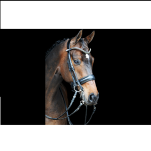 Prix bon marché en gros nouvelle tendance Style à la mode dernière conception de haute qualité bride en cuir de cheval de haute qualité à la mode - Product Image 1