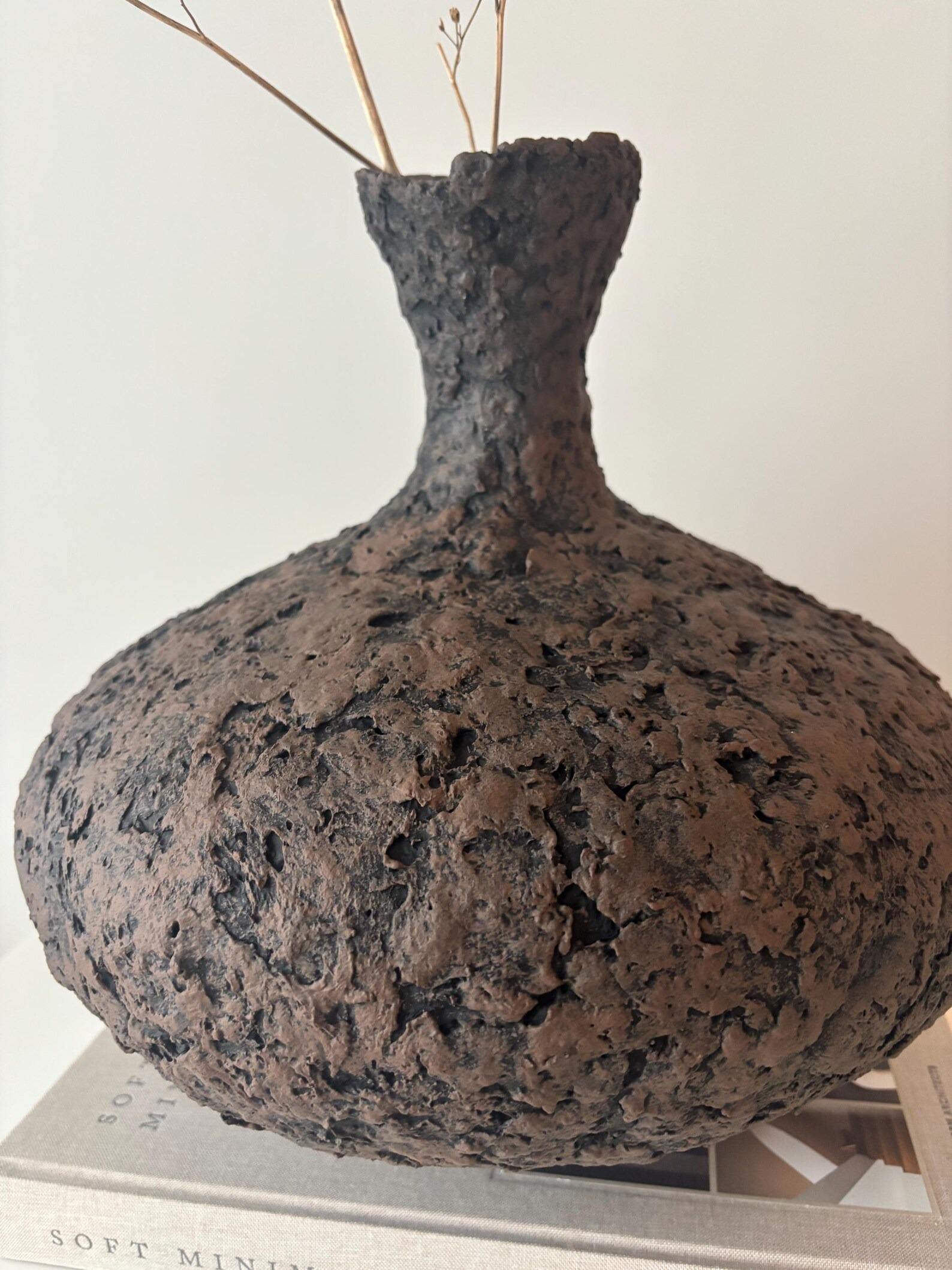 สีน้ำตาลและสีดำ