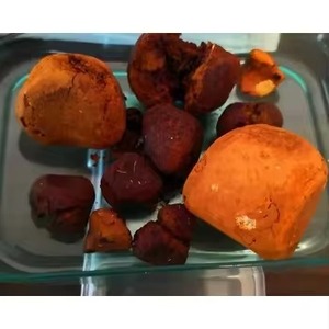 Cálculos biliares de buey de vaca estándar de alta calidad/cantidad a granel fácilmente disponible para la venta - Product Image 2