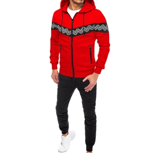 2024 venta al por mayor invierno cremallera logotipo personalizado sudaderas con capucha con sombrero 2024 alta calidad logotipo personalizado diseño chándal - Product Image 1