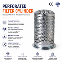 Cylindre filtrant perforé en acier inoxydable 304 316L, diamètre personnalisé, cartouche filtrante perforée