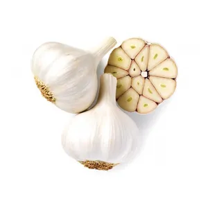 Bulk Quantity Manufacturer of High Quality 100% Pure and Natural Garlic Extract Powder at Wholesale Price