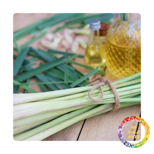 Hierba de limón congelada para exportar, ideal para la digestión y el refuerzo inmunológico | Para cocinar y té | Origen de Vietnam - Product Image 3