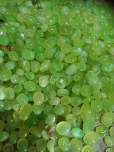 หินกรวดโอนิกซ์ผสมพรีเมี่ยมหลายสีสำหรับการตกแต่งภายในบ้านหินเทเบิล - Product Image 5
