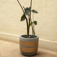 Grand vase hydroponique betonnen bloempotten béton motif moule fioriere da esterno masetas para plantas