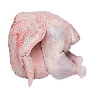 Vente en gros de poulet halal congelé, volaille halal, poulet entier pour l'exportation - Product Image 4