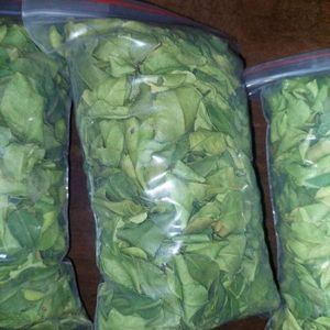 ใบมะกรูดแห้ง วัตถุดิบจากส้มหอม ใช้สำหรับปรุงซุป แกง และผัด ปรุงรส ผลิตในเวียดนาม - Product Image 2