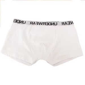 2024 fournisseur professionnel de haute qualité hommes slips coton Sexy boxeurs personnalisés Logo Boxer sous-vêtements en gros - Product Image 5