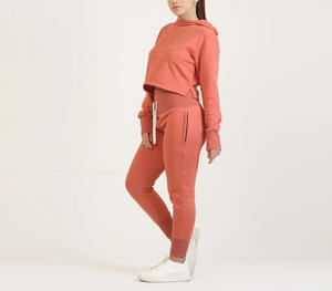 Conjunto de Ropa Deportiva para Mujer al por Mayor, Otoño Invierno, Pantalones Deportivos Cargo y Sudadera con Capucha, Conjunto de 2 Piezas - Product Image 2