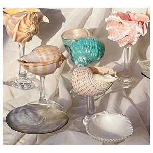 Hot Trend 2025 Seashell Cup Conch Cup para decoración de mesa romántica Servicio de vino en restaurantes Eventos y recepciones - Product Image 1