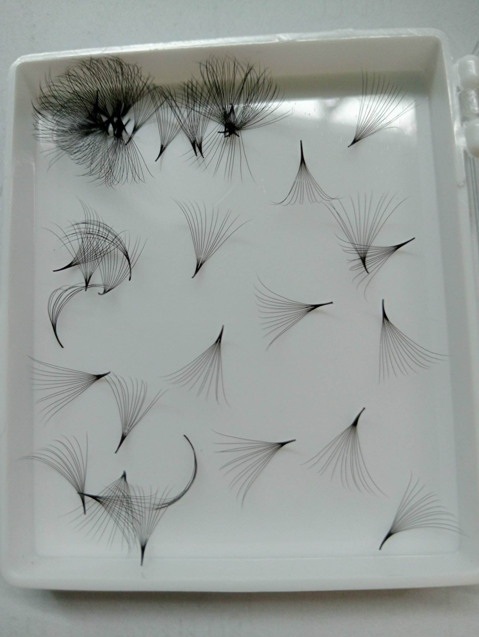 Single Lengths D Curl Pro made Loose 1000 Fans