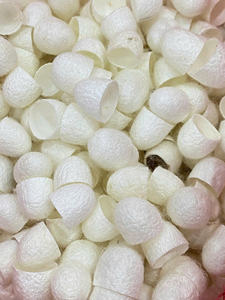 Cocoon Worm Silkworm Cocoon Textil Algodón Suministro de fábrica Material artesanal al por mayor a granel - Product Image 4