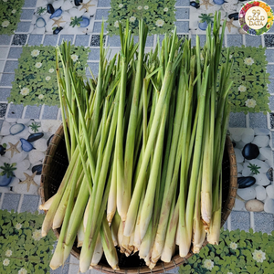 Hierba Limón de Vietnam de Alta Calidad, Recién Cosechada, Diseñada para Tareas de Mezcla de Alimentos y Aplicaciones de Ingredientes - Product Image 4