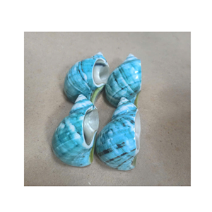 ห่วงรัดผ้าเช็ดปากเปลือกหอยธรรมชาติแหวนสเตนเลสประดับมุกสำหรับงานแต่งงานของตกแต่งแบบเวียดนาม - Product Image 6