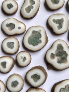 หินมอสอาเกตธรรมชาติ ทรงแผ่น ขัดเงา รูปทรงผสม สำหรับทำเครื่องประดับ ขายส่ง - Product Image 3