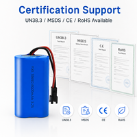 Paket Baterai LiFePO4 18650 3.2V 6000mAh Kustom, Pasokan Pabrik OEM dengan Kabel Harness dan Konektor