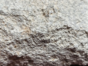 El relleno de pirofilita mejora la suavidad superficial final de los rellenadores de carrocerías de automóviles y los compuestos de reparación compuestos. - Product Image 6