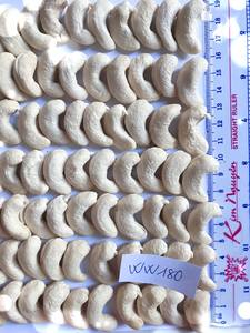 เม็ดมะม่วงหิมพานต์ออร์แกนิกในทุกเกรดผ่านการอบแห้งและผ่านกรรมวิธีสำหรับใช้ในอาหาร WW240 WW320 WW180 LP LWP SP - Product Image 2