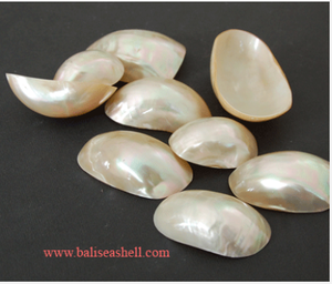 Turbo Gran Corte perlado Seashell incrustaciones artesanales Indonesia pulido crudo técnica Animal estilo para incrustaciones de joyería - Product Image 2
